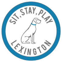 Sit, Stay, Play - Photo 5 - Car repair in Nicholasville, KY, Lexington