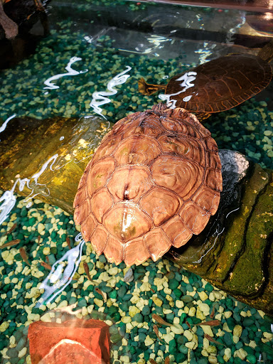 Pet Store «Pets Plus - Quakertown», reviews and photos, 117 S West End Blvd, Quakertown, PA 18951, USA