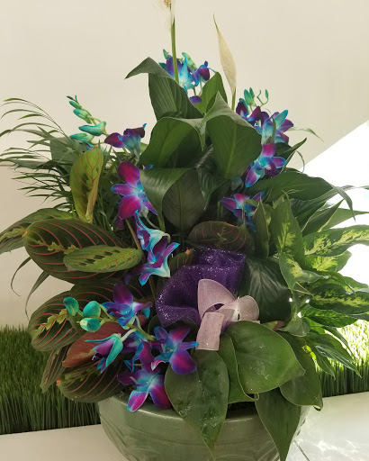 Florist «Event Connoisseur Flowers & Gifts», reviews and photos, 39 New London Turnpike #116, Glastonbury, CT 06033, USA