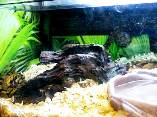 Pet Supply Store «PetSmart», reviews and photos, 7765 Airport Blvd #901, Mobile, AL 36608, USA