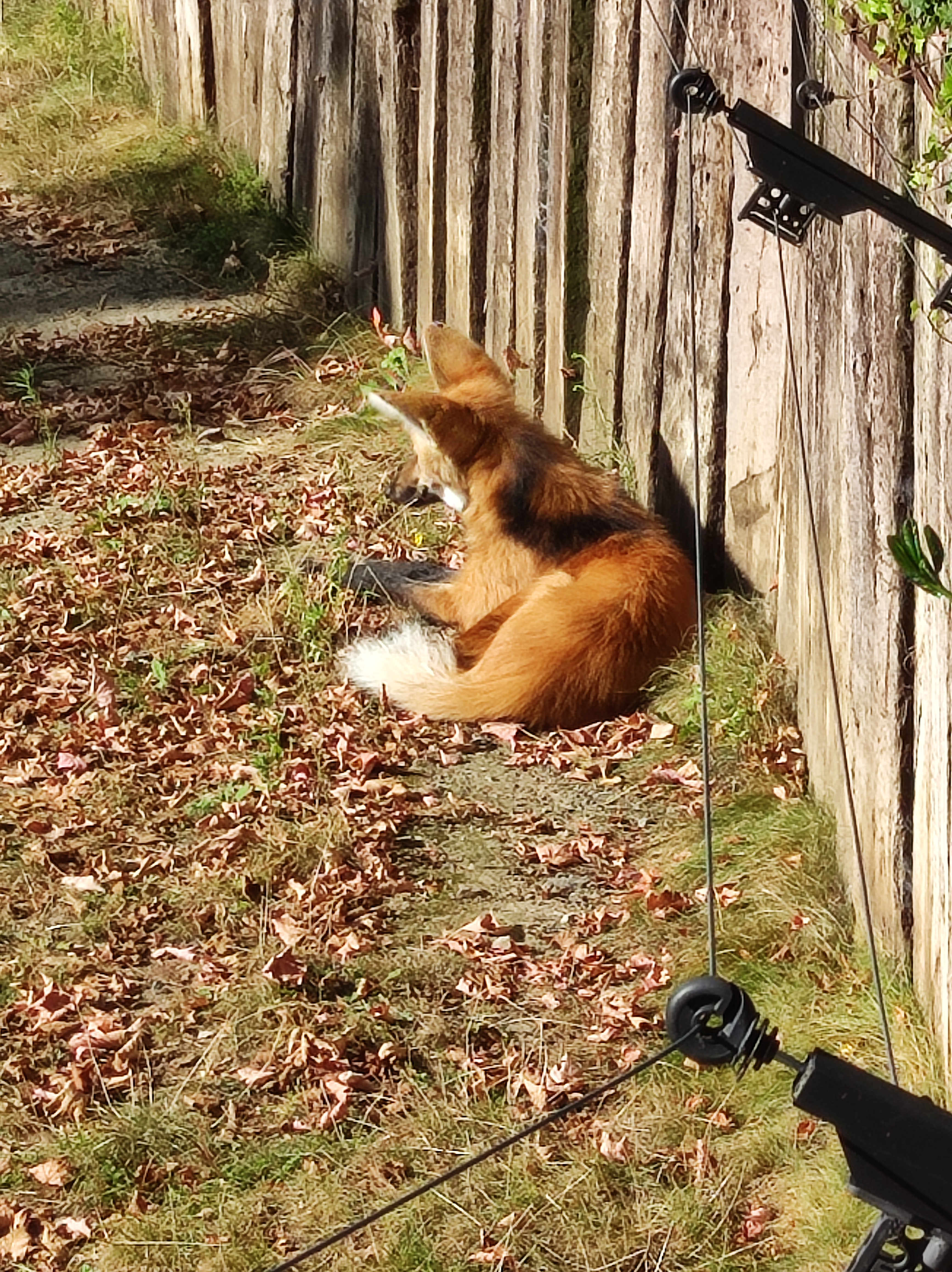 Photo n° 7 de l'avis de Barcelonesa974. fait le 18/01/2024 à 06:36