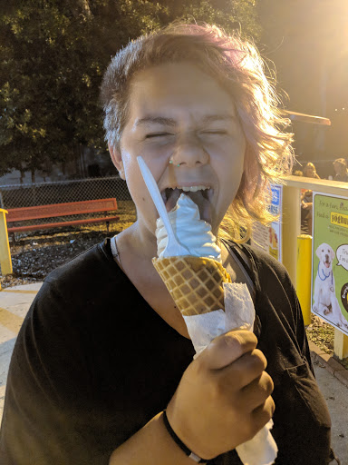Ice Cream Shop «Twistee Treat», reviews and photos, 7449 Laredo Dr, Hudson, FL 34667, USA