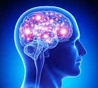 Temple Guardian - Integrative Health Solutions - Photo 7 - Car repair in Asheville, NC, Asheville