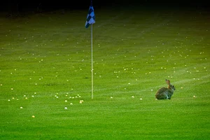 Golfplatz GbR image