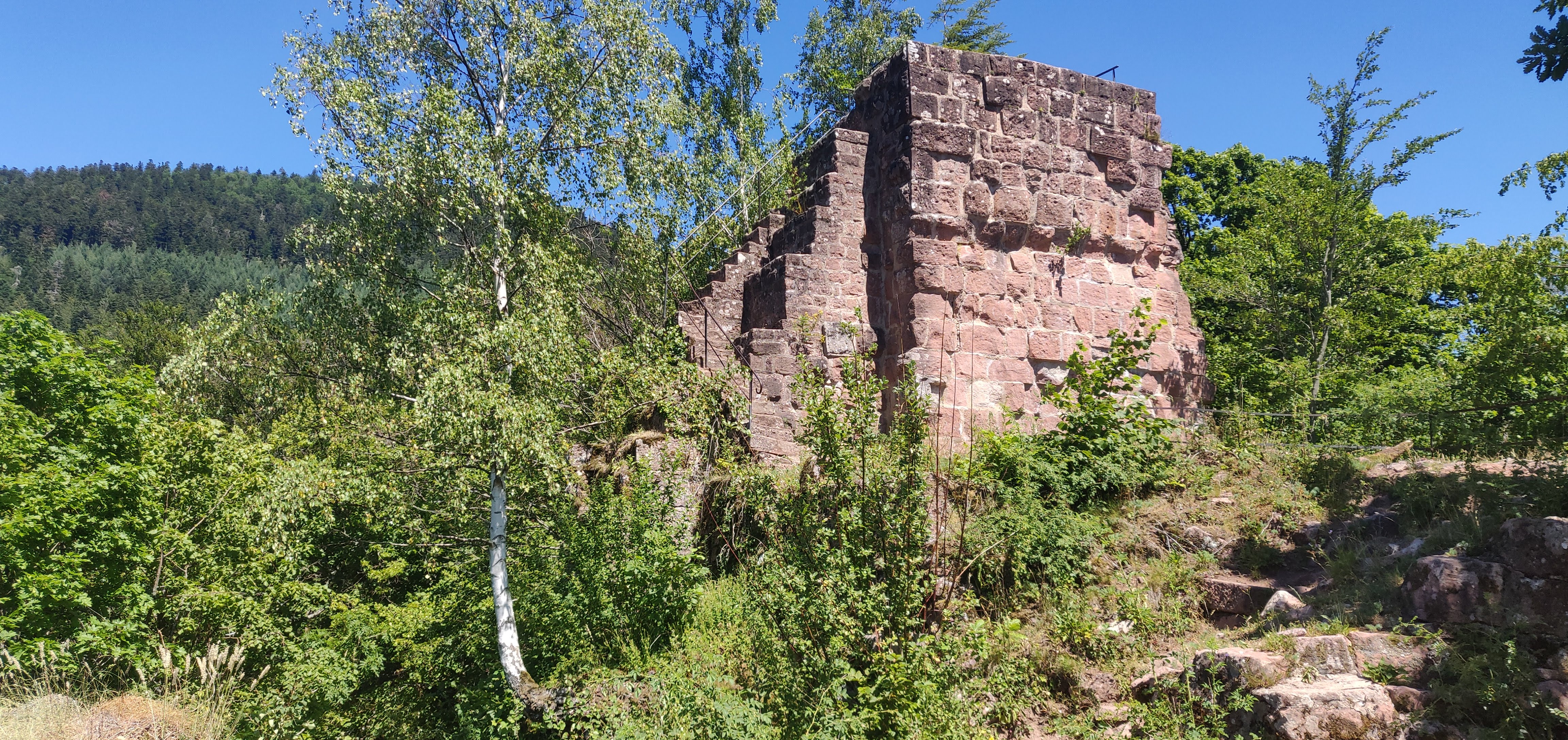 Photo n° 3 de l'avis de Amélie.o fait le 07/07/2019 à 07:13