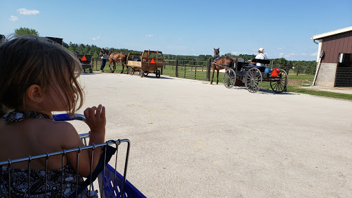 Grocery Store «Nauvoo Family Market», reviews and photos, 15979 Nauvoo Rd, Middlefield, OH 44062, USA