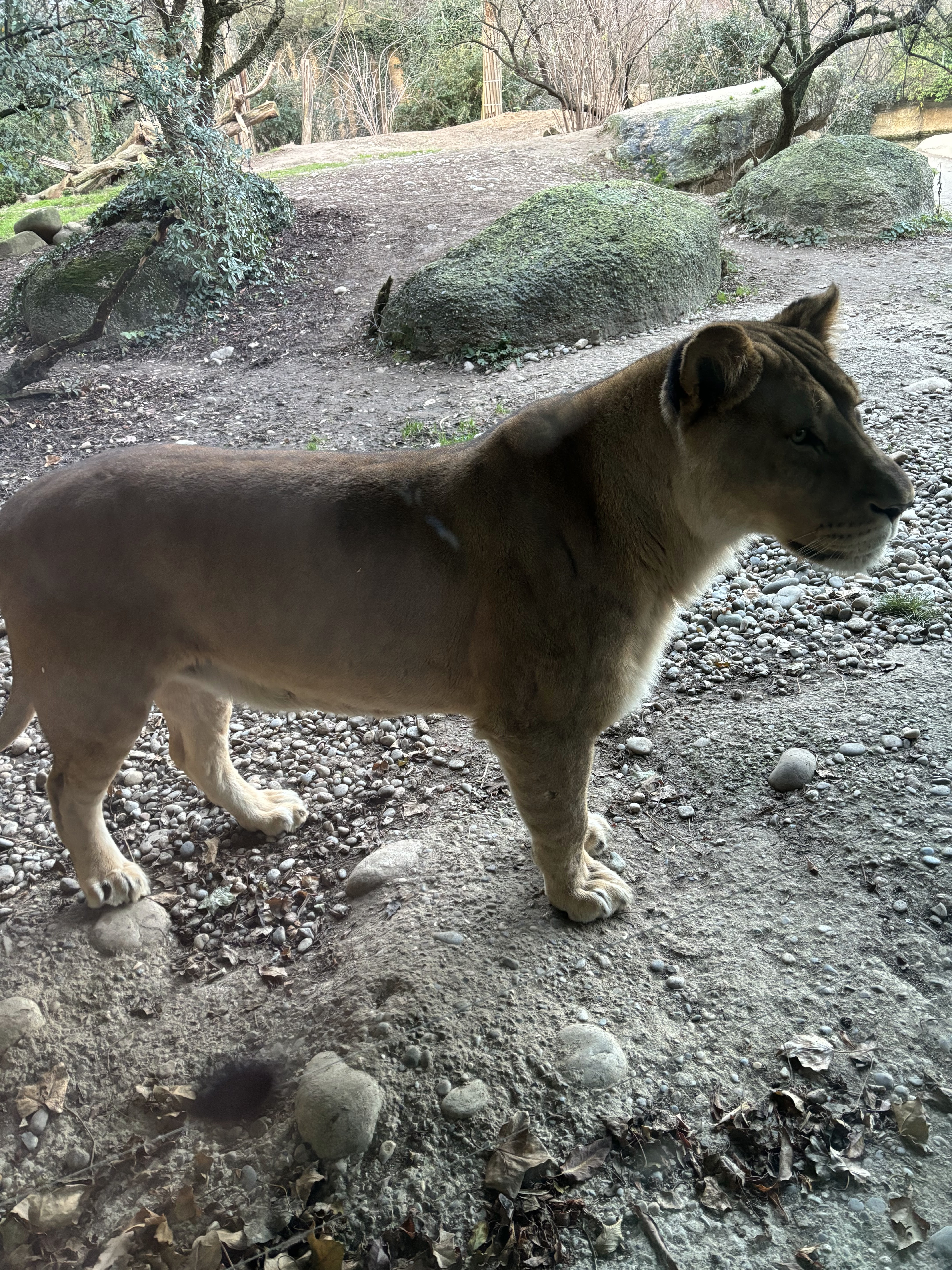 Photo n° 1 de l'avis de Sam.l fait le 29/12/2023 à 13:35