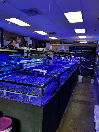 Tropical Fish Store «Your Reef Aquarium», reviews and photos, 199 Cirby Way #14, Roseville, CA 95678, USA