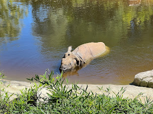 Photo n°17 de Sur les Hauteurs de Chine à Saint-Aignan ()