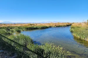 Clark County Wetlands Park image