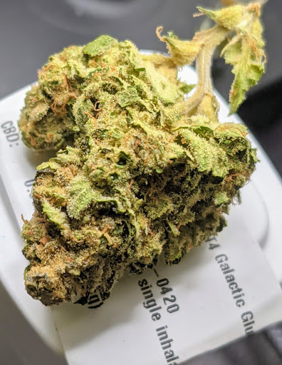 Home Improvement Store «The Home Depot», reviews and photos, 1490 Capital Cir NW, Tallahassee, FL 32303, USA