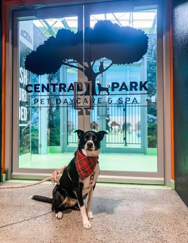 Central Park Pet Daycare & Spa