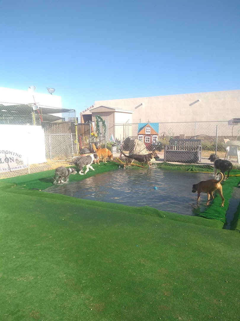 Fortuna Play & Water Dog Park