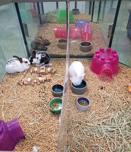Pet Store «A Family Pet Center», reviews and photos, 6230 N Lockwood Ridge Rd, Sarasota, FL 34243, USA