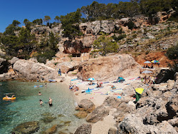 Skala beach'in fotoğrafı çok temiz temizlik seviyesi ile