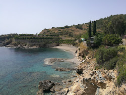 Hal limani beach'in fotoğrafı çok temiz temizlik seviyesi ile