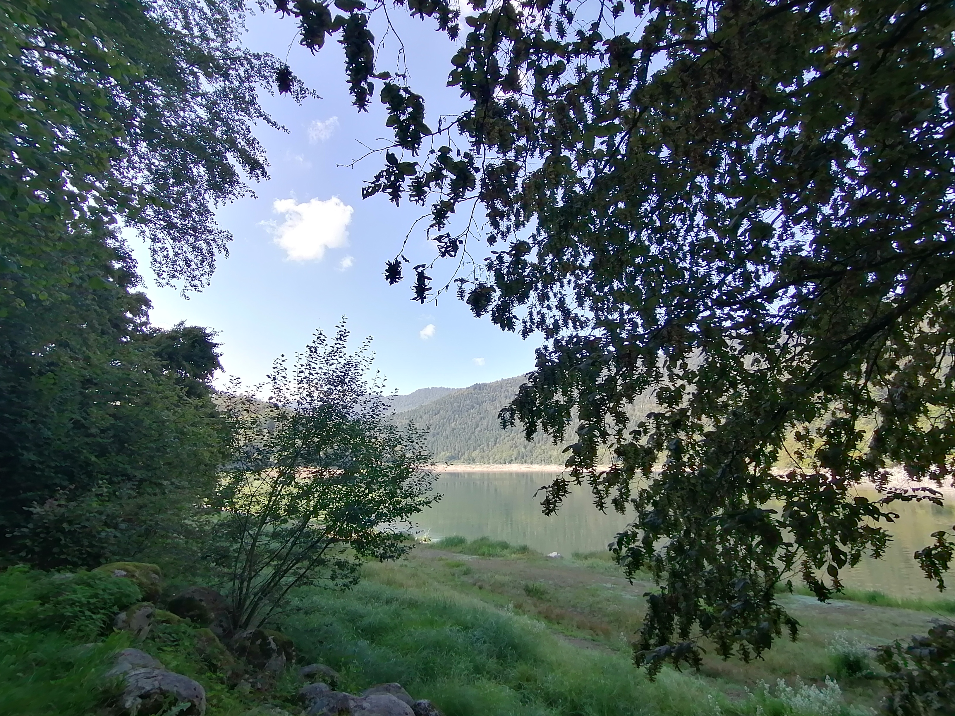 Photo n° 11 de l'avis de Bertrand.e fait le 09/09/2023 à 17:20