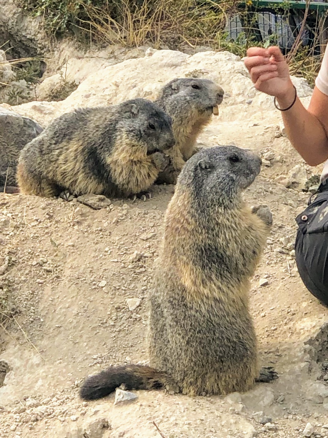 Photo n° 16 de l'avis de Jérémie.r fait le 28/08/2020 à 17:19