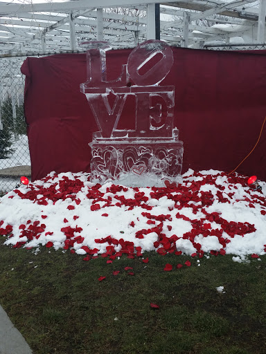 Florist «Exotic Flowers», reviews and photos, 609 American Legion Hwy, Boston, MA 02131, USA