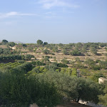 Photo n°3 de l'avis de Andreas.a fait le 19/06/2019 à 08:38 sur le  Lalsks à Noto