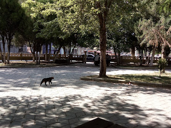 Atatürk Parkı