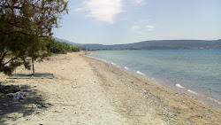 Foto von Paralia Gialova II mit geräumige küstenlinie