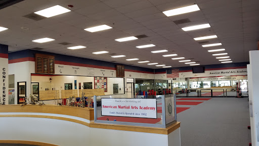 American Martial Arts Academy image