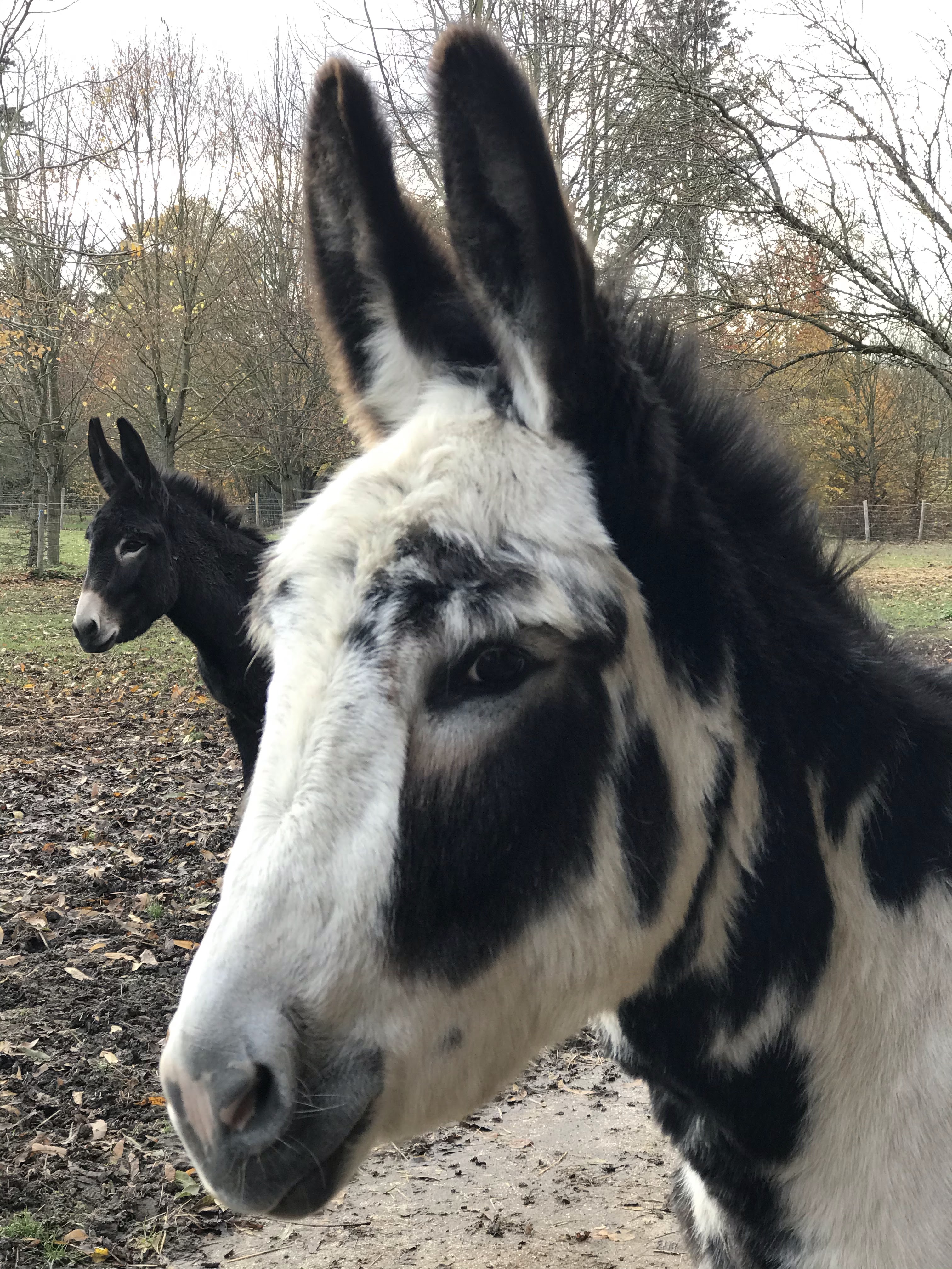 Photo n° 1 de l'avis de Anita.i fait le 30/11/2019 à 18:39