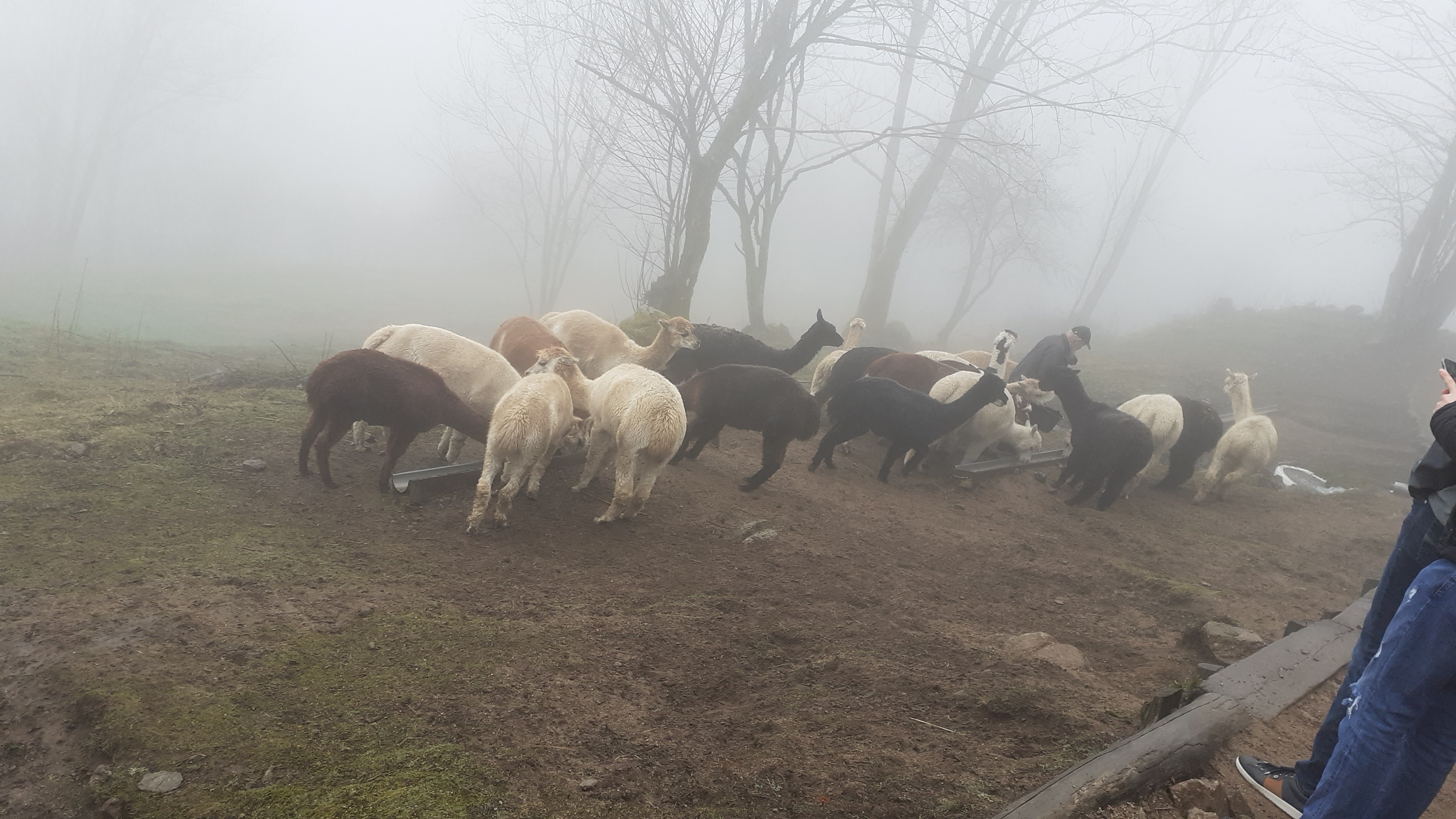 Photo n° 1 de l'avis de Fy.o fait le 25/02/2020 à 10:54