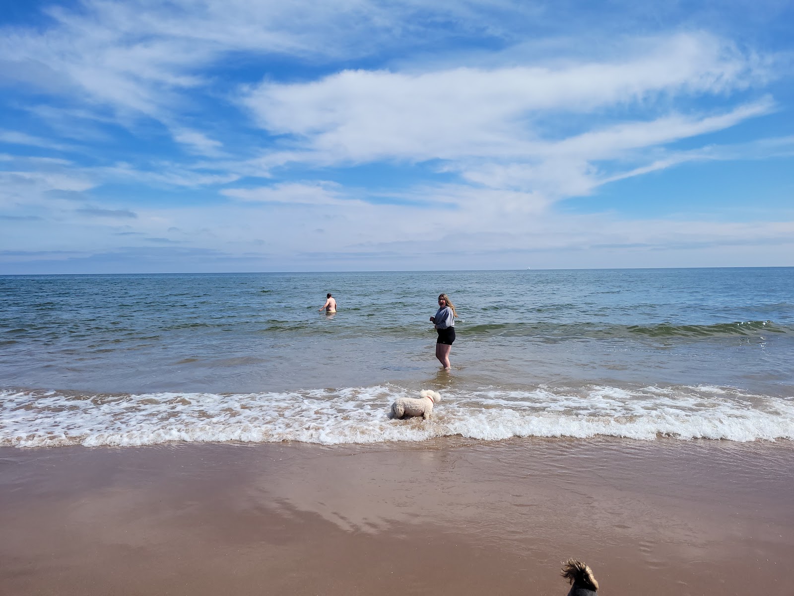 St Cyrus Beach'in fotoğrafı - rahatlamayı sevenler arasında popüler bir yer