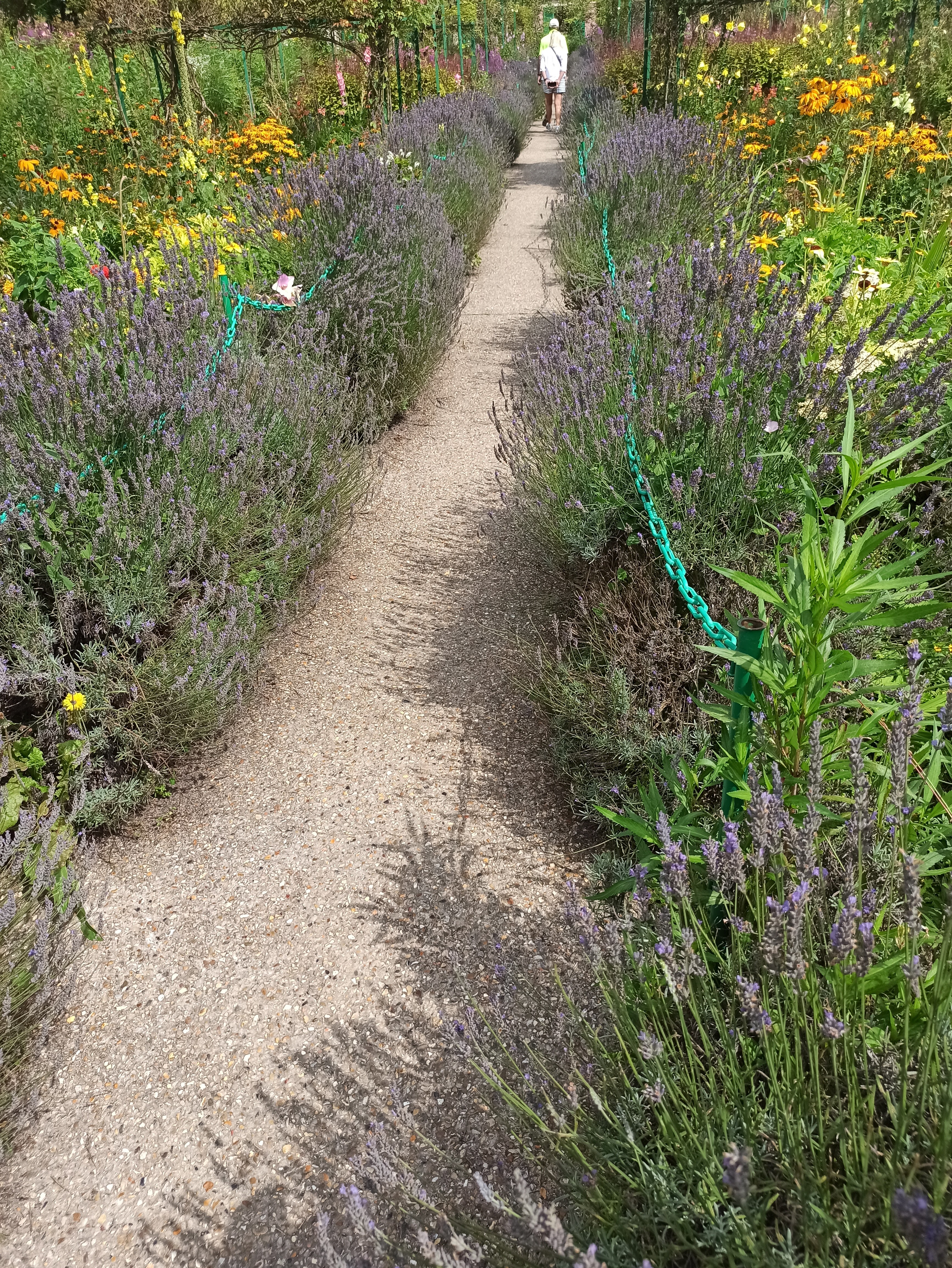 Photo n° 1 de l'avis de Antonio.a fait le 11/08/2021 à 17:59