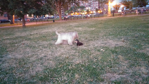 Park «Asser Levy Park», reviews and photos, 302 Sea Breeze Ave, Brooklyn, NY 11224, USA