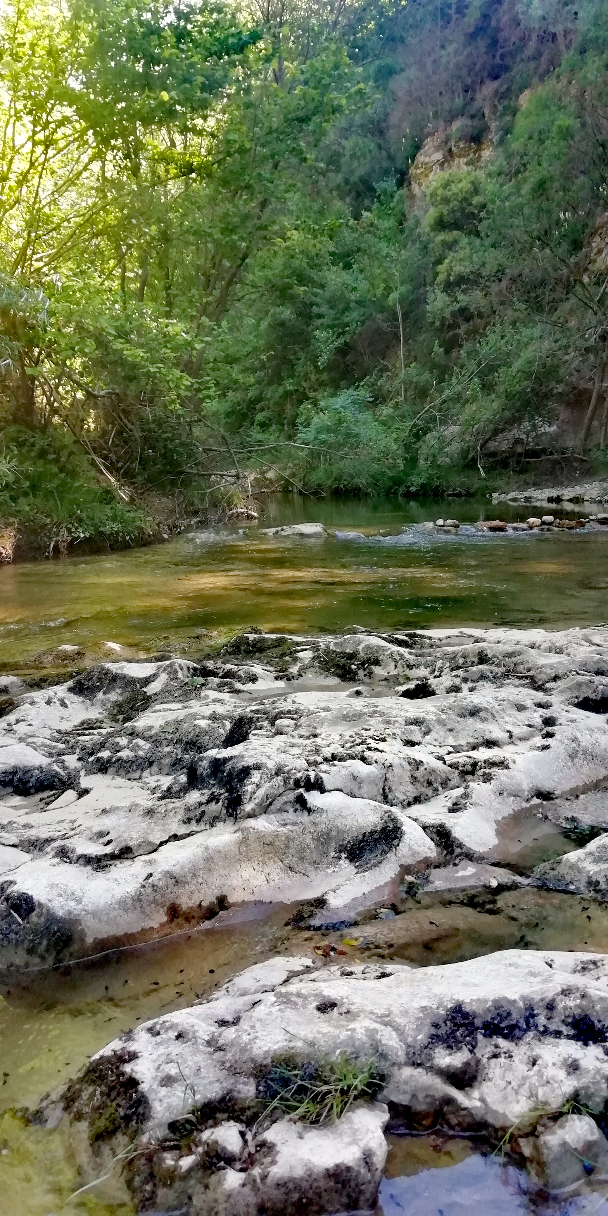 Photo n° 3 de l'avis de Angélique. fait le 02/06/2019 à 12:36