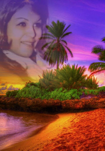 Donut Shop «Yum Yum Donuts», reviews and photos, 1090 Meridian Ave, San Jose, CA 95125, USA