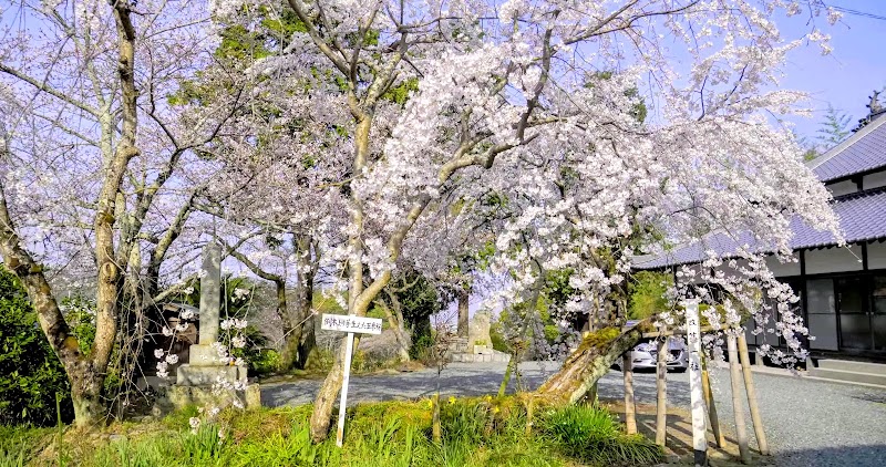 伝宗禅寺