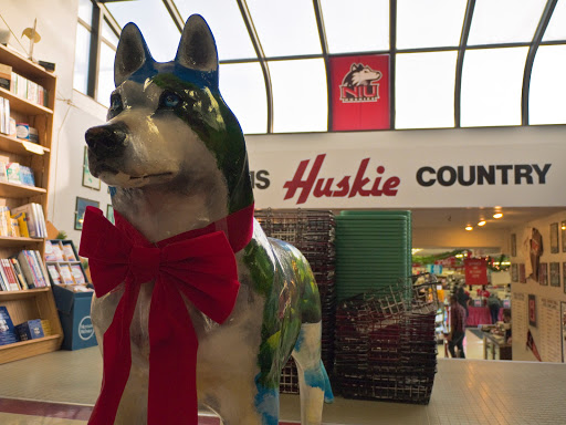 Book Store «Village Commons Book Store», reviews and photos, 901 Lucinda Ave k, DeKalb, IL 60115, USA