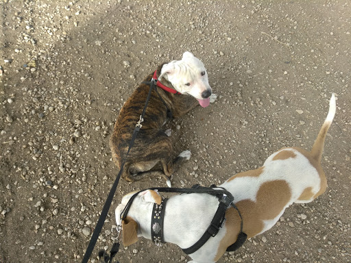 Park «Trammell Crow Park», reviews and photos, 3700 Sylvan Ave, Dallas, TX 75207, USA