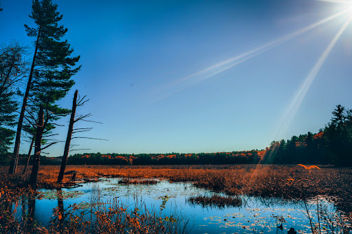 State Park «Lowell-Dracut-Tyngsborough State Forest», reviews and photos, Trotting Park Rd, Dracut, MA 01826, USA