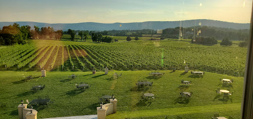 Vineyard «Breaux Vineyards», reviews and photos, 36888 Breaux Vineyards Ln, Purcellville, VA 20132, USA