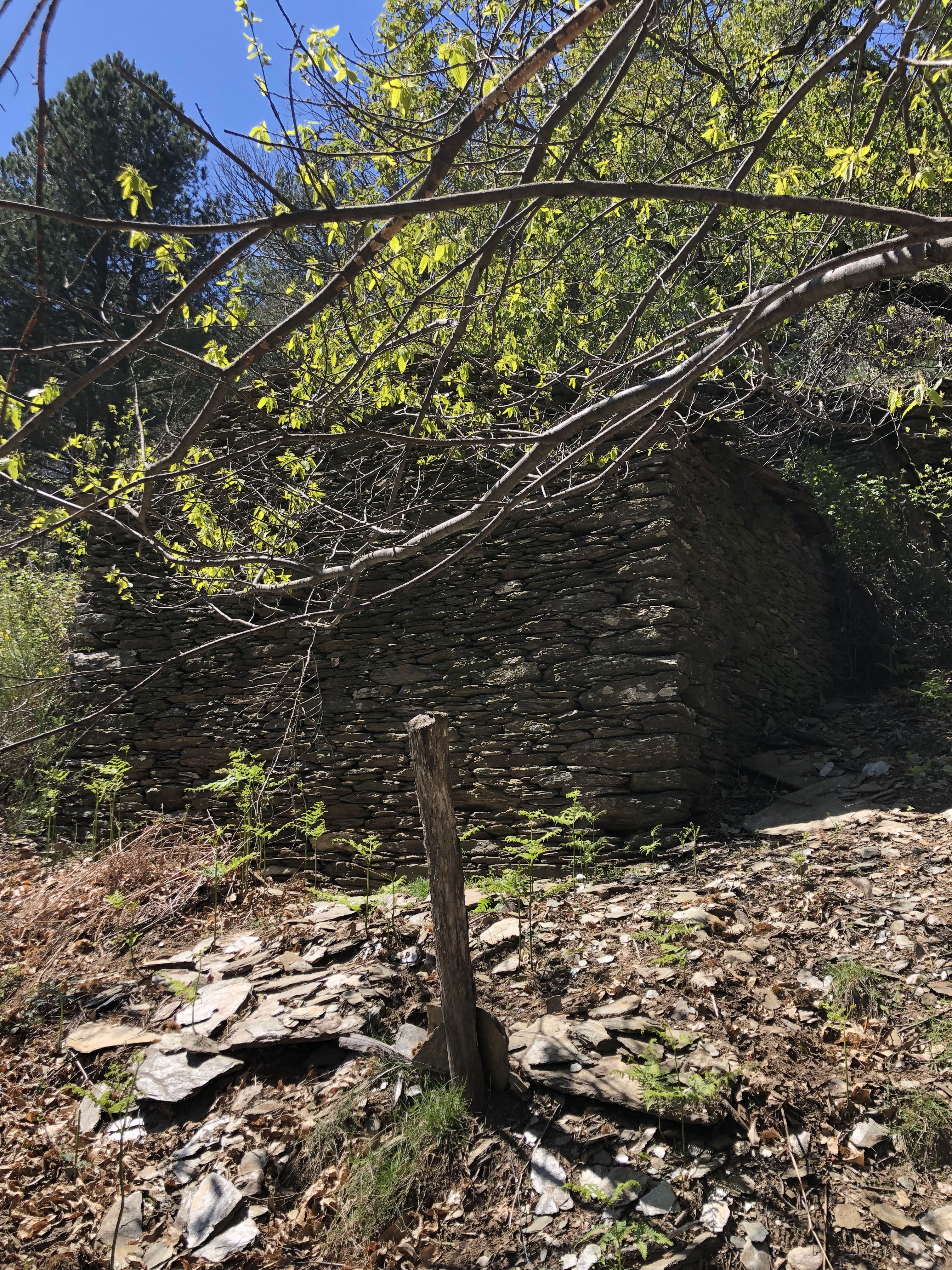 Photo n° 1 de l'avis de Sebastien.o fait le 13/05/2019 à 22:00