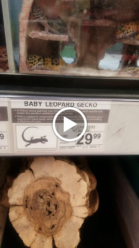 Pet Supply Store «Petco Animal Supplies», reviews and photos, 1605 Beltline Rd SW, Decatur, AL 35601, USA