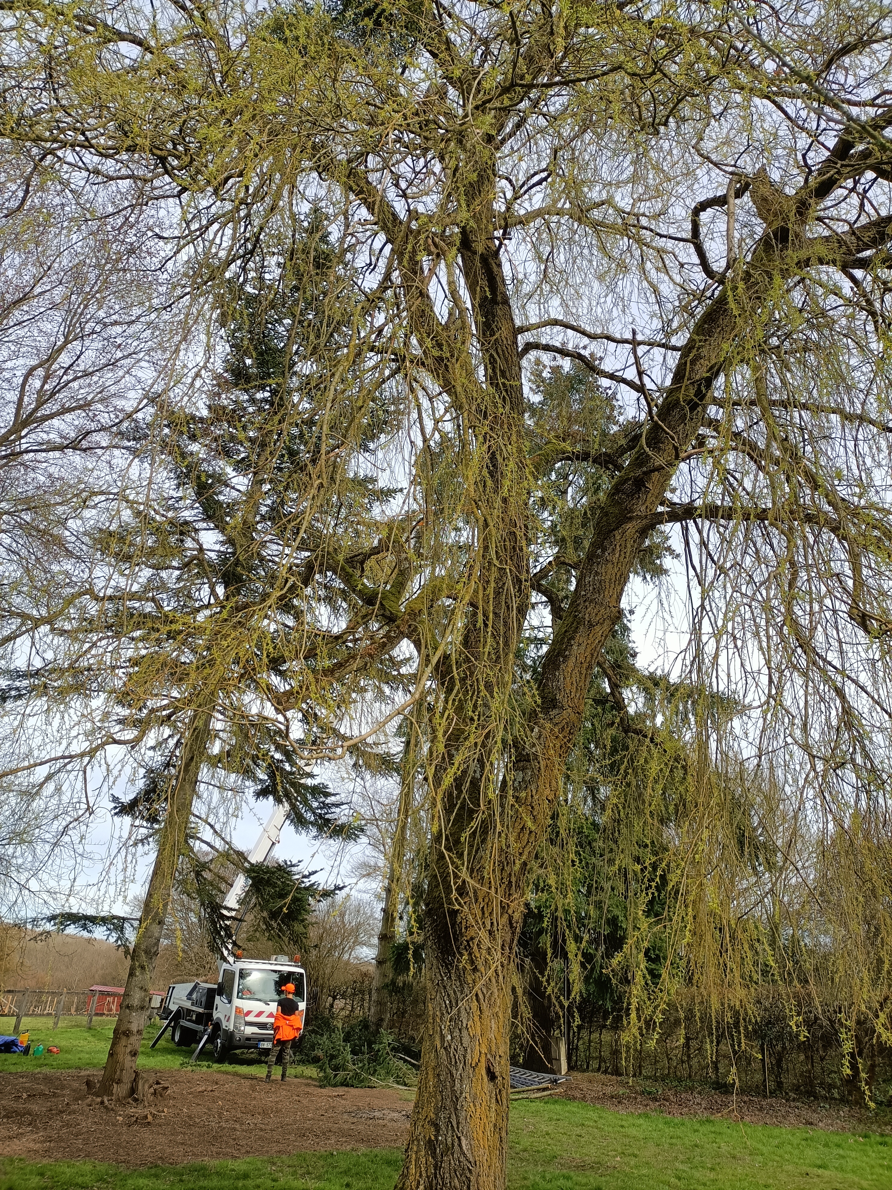 Photo n° 3 de l'avis de Valerie.e fait le 17/03/2023 à 16:04