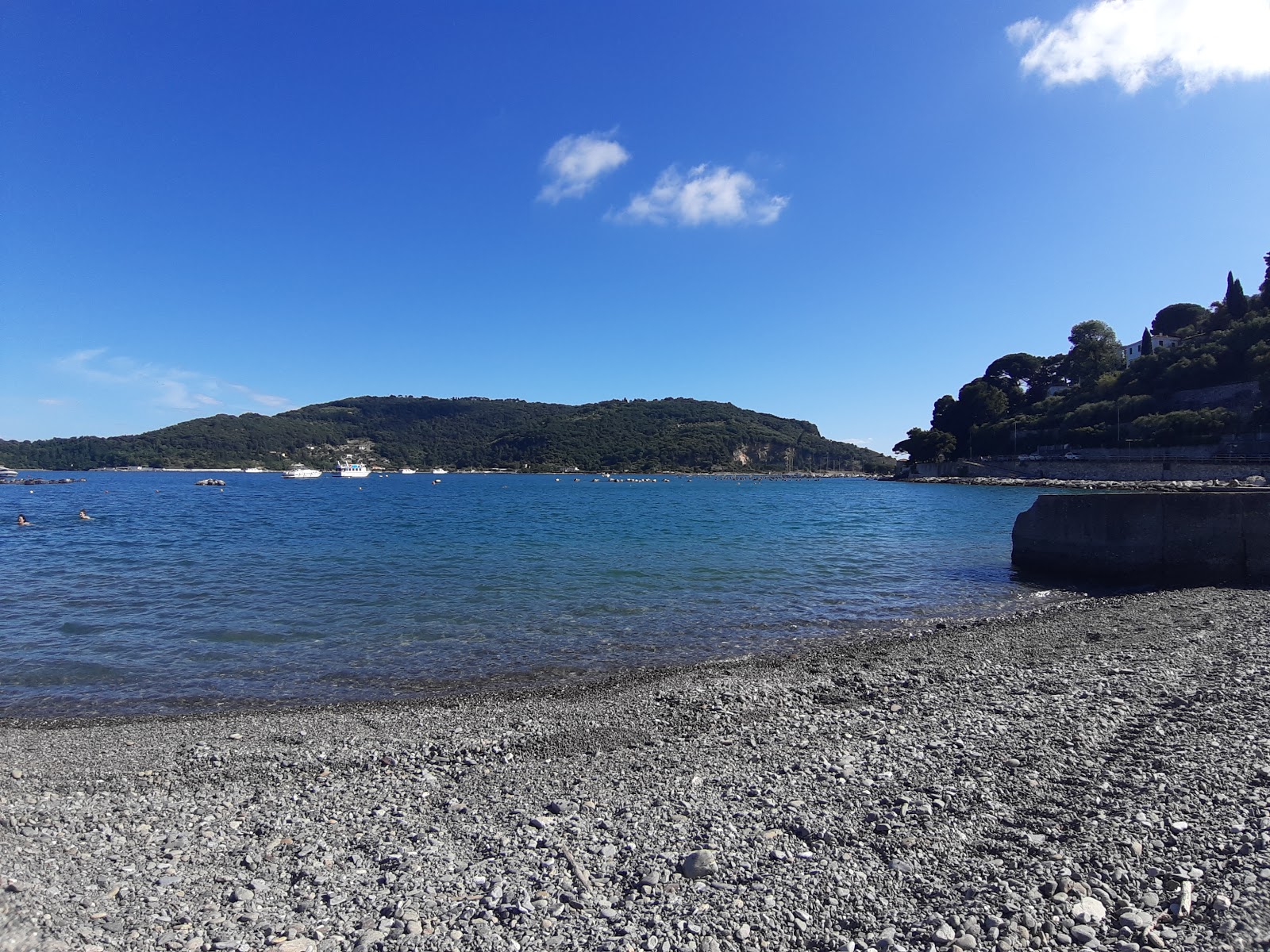 Olive beach photo #8