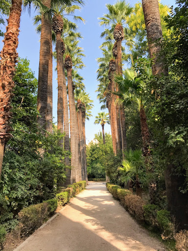 Botanical Museum of the National Gardens