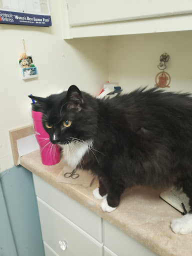 3342 N Druid Hills Rd NE, Decatur, GA 30033, USA