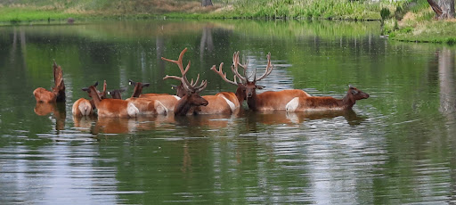 Park «Jester Park», reviews and photos, 11407 Northwest Jester Park Drive, Granger, IA 50109, USA