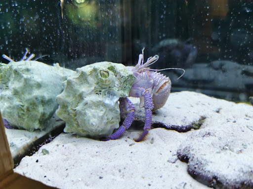 Aquarium «The River Center», reviews and photos, 805 US-1, Jupiter, FL 33477, USA