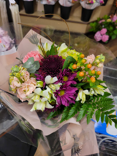 Supermarket «Big Y», reviews and photos, 65 Palomba Dr, Enfield, CT 06082, USA