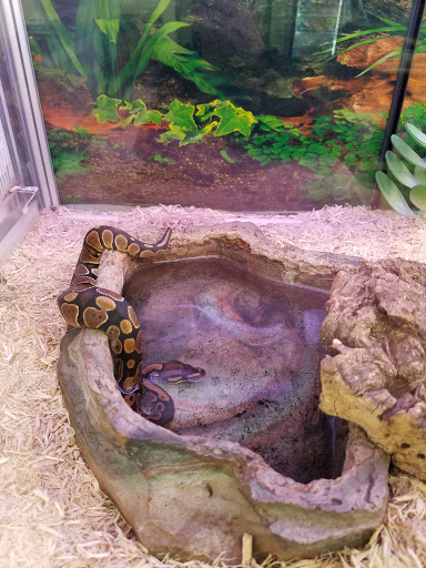 Pet Supply Store «Pet Supplies Plus», reviews and photos, 42241 Garfield Rd, Charter Twp of Clinton, MI 48038, USA