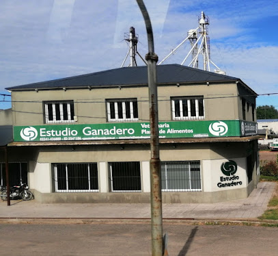 GP ESTUDIO GANADERO S.A.